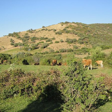 La Jatta Budoni Exterior foto