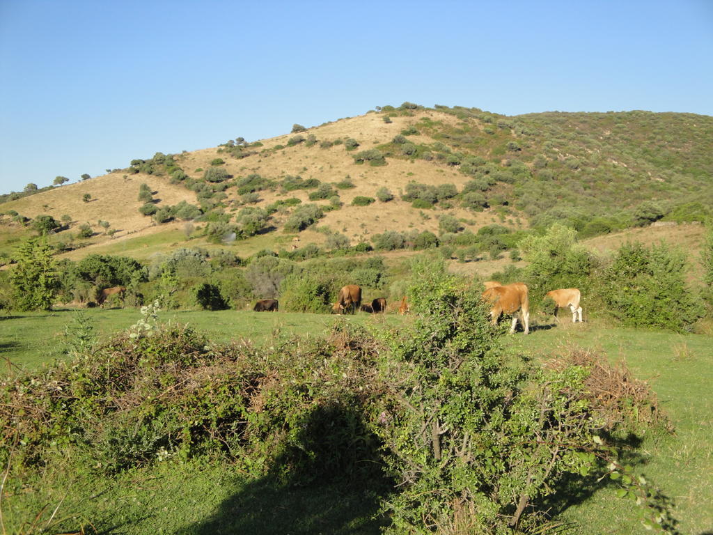 La Jatta Budoni Exterior foto